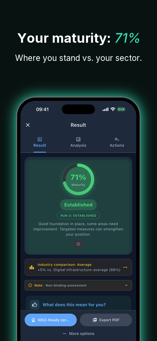 Assessment result: Your maturity level compared to industry benchmarks.